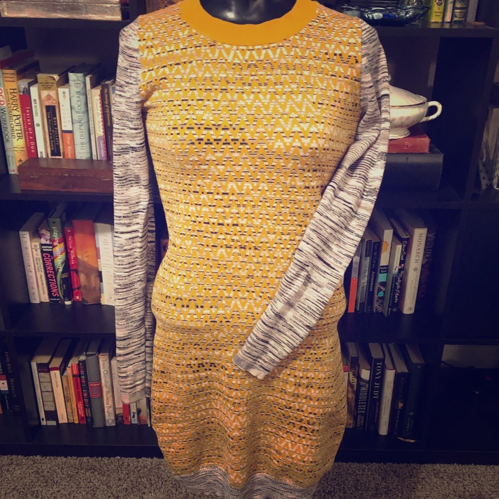 French Collection Long Sleeved Sweater Dress